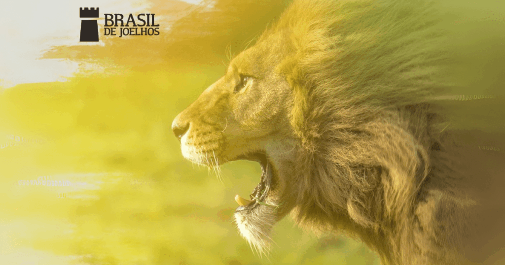 Brasil de Joelhos: Movimento de Oração Brasil de Joelhos